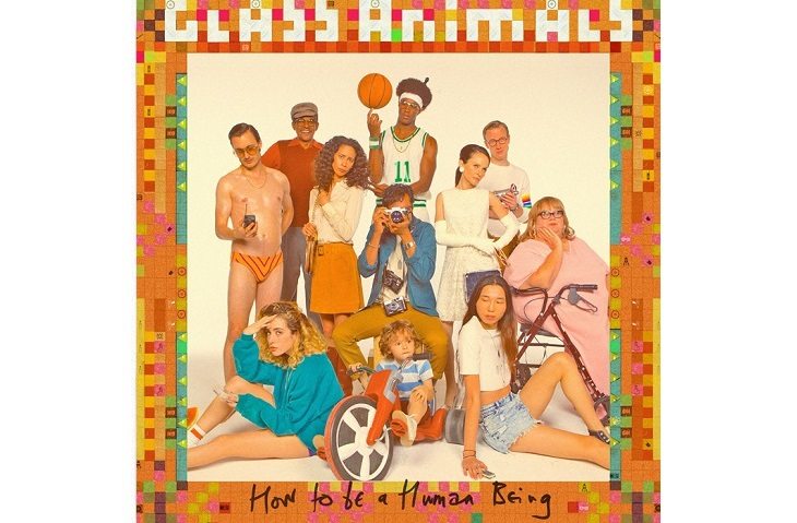 glass animals