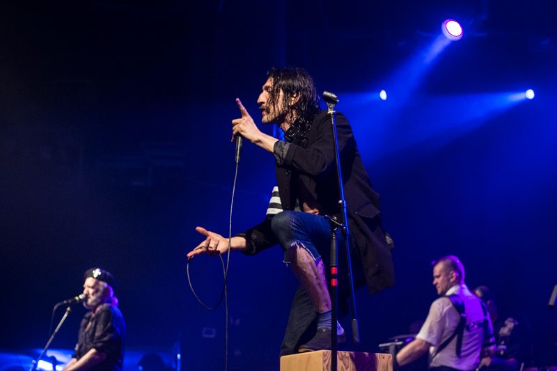 gogol bordello
